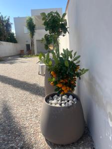 Appartamento MARE in Villa Giulia sul Mare