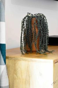 Appartement T2 à Fabregas, proche des Sablettes