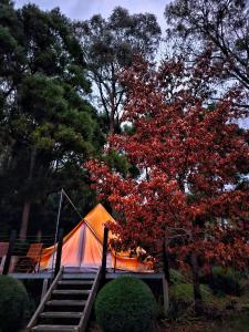 Garden Beds Glamping