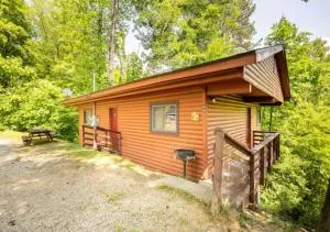 Lazy Bear Cabin near Nantahala Outdoor Center and Bryson City - Maple Springs