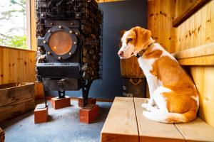 野尻湖の絶景を楽しむ、貸切サウナ付き一軒家 Anoie（あの家）