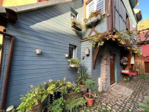 Maisons de vacances GITE le 70 a TURCKHEIM, 10 min Colmar : photos des chambres