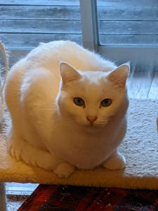 Pension Alba - Vacation STAY 70965v - Ubytování bez kategorie ve městě Tatejama