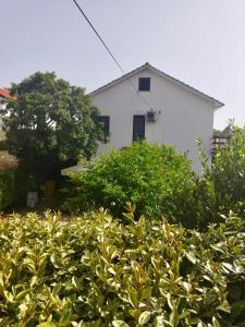 Holiday Home Bukovac 