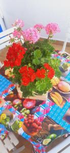 Carboneras, la Mar Divina