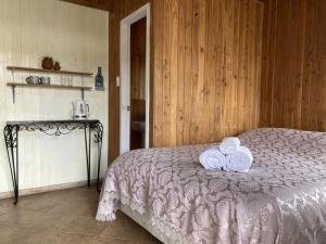 Hostal Centro Pucón A