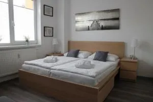 apartmán Relax Frymburk - 塞尔纳珀苏马维