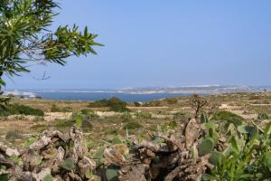 Hotel Ta’ Cenc & Spa, Cenc Street, Sannat SNT9049, Gozo, Malta.