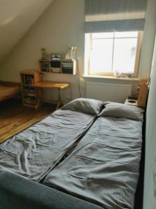 9 min from Palanga! luxury house on the river and sauna