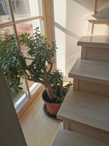 9 min from Palanga! luxury house on the river and sauna