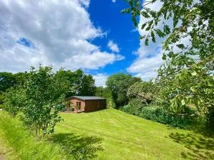 Gorstage Meadows Luxury 2 Bedroom Lodge in Rural Cheshire - 文斯福