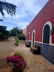 Casina foggia dellalbero