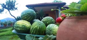 Agriturismo La Talpa