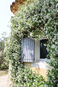 Maisons de vacances Bastide Magnolia - Les dependances, Roussillon : photos des chambres