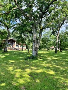 Maisons de vacances Les gites du petit mila : photos des chambres
