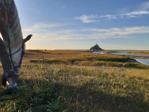 Appartements Gite le Chausey Mont Saint Michel : photos des chambres