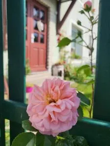 Ferienwohnung Simmert - Cunnersdorf