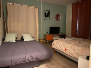 Appartements T2 cosy proche hopital + parking gratuit sur place : photos des chambres