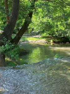 Appartements Coeur d'Uzes : photos des chambres