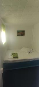 Pontonul lui Cristian