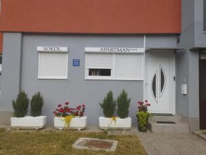 APARTMAN SOKOL**** 