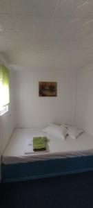 Pontonul lui Cristian