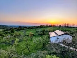 Căsuța din livadă - Paleu