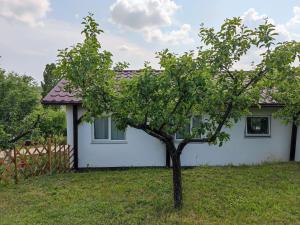 Căsuța din livadă