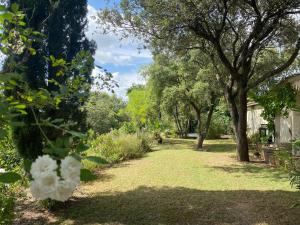 Maisons de vacances La Canope : photos des chambres