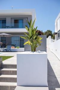 Melilia luxury villa