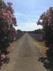 Villas Le Montagard - Exceptional Holiday Home : photos des chambres