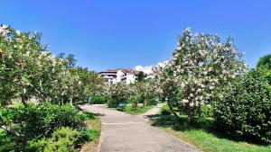 Tivat Center SeaView Apartment