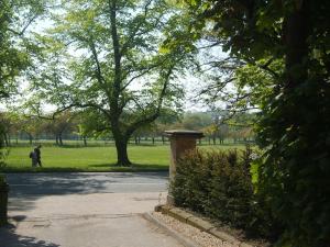 Beautiful 3 bedroom house, central Harrogate