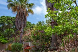 Maisons de vacances Davia 2 - Grande terrasse vue mer : Maison 3 Chambres