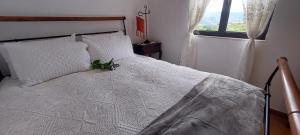 Quinta dos Castros Douro