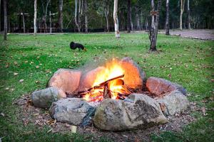 Airlie Beach Eco Cabins - Adults Only