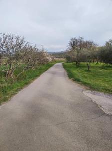 Na Zeleni cesti / On the green road