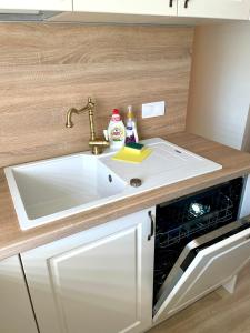 Brīvdienu apartaments Melnsilā