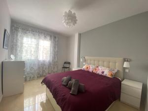 Apartment Delfin