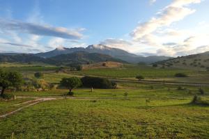 Auberge Santu Martine: cottage with pool (Sughera) img43