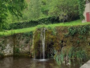 Maisons de vacances Renovated castle apartment with swimming pool : photos des chambres