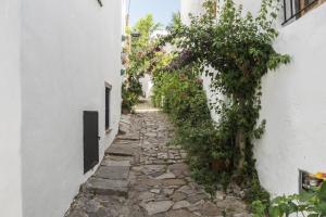 Tranquilo y cómodo apartamento en Vejer de la Frontera