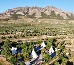Boutique Teepee Sleeps 2 with Pool