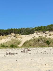 Maisons de vacances Maison Duplex T4 6 couchages : photos des chambres