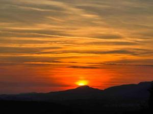 Grand T2 très lumineux en rez de jardin villa
