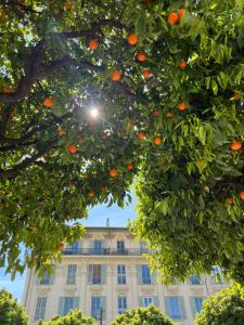 B&B / Chambres d'hotes Chez Ventura : photos des chambres