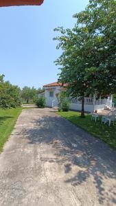 Vasilikis guest house