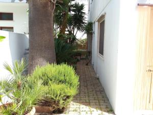 Sole, Mare e Relax a Matino La Tua Oasi Salentina