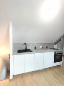 Appartements Da Vinci - Studio Charmant : photos des chambres
