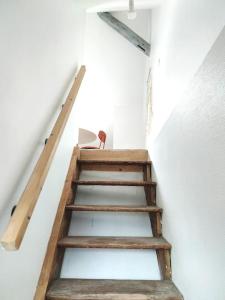 Appartements Da Vinci - Studio Charmant : photos des chambres